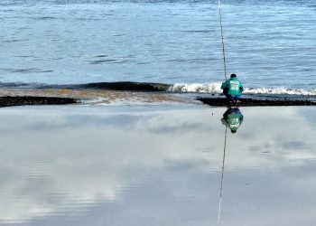 Manusia, Predator Puncak yang (Mencoba) Bertahan Hidup