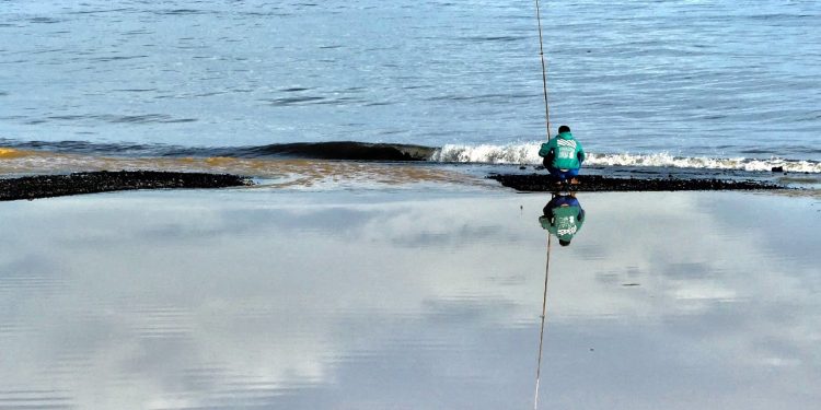 Manusia, Predator Puncak yang (Mencoba) Bertahan Hidup