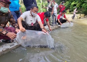 Nila Tak Hanya Nyatnyat, Lele Tak Hanya Pecel | Ini 5 Program Prioritas DKPP Buleleng untuk Cadangan Pangan