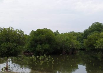 “Perselingkuhan” yang Indah dan Membanggakan di Pantai Karang Sewu Gilimanuk