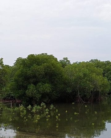 “Perselingkuhan” yang Indah dan Membanggakan di Pantai Karang Sewu Gilimanuk