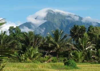 Bertemu Pak Jam’an dan Keindahan di Taman Sari | Cerita dari Banyuwangi