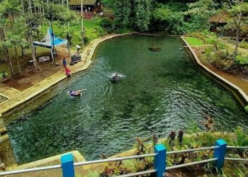 Desa Wisata Taman Sari di Banyuwangi, Hebat Bersama, Bumdes Kelola Homestay Milik Warga