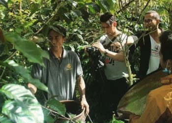 Petani Kopi Wanagiri Bikin Film: Kopi Panen, Film Juara