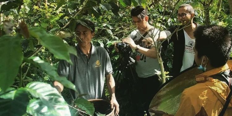 Petani Kopi Wanagiri Bikin Film: Kopi Panen, Film Juara