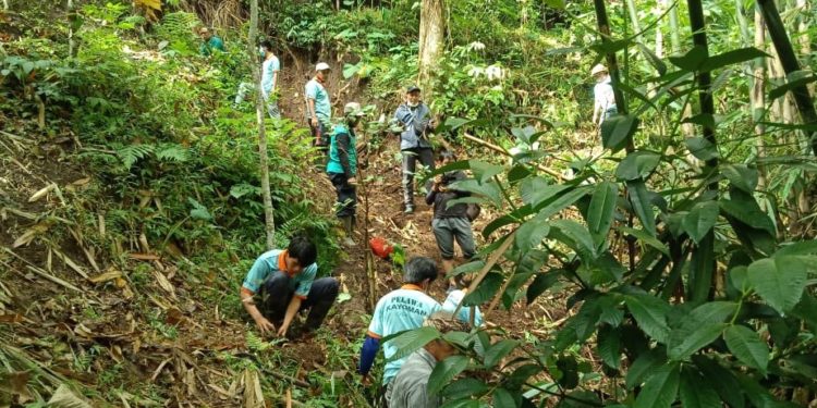 Valentine, Menanam Pohon, dan Puisi Kasih Sayang dari Desa Pedawa