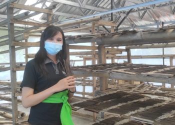 Tiya Martini: Setelah Ikut DEA, Bersiap Dari Buleleng Jual Dupa ke Seluruh Indonesia