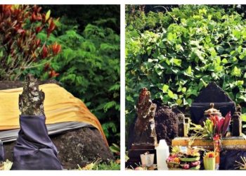 Bun Kekara Langka Selimuti Palinggih | Cerita dan Renungan Keajaiban dari Tabanan