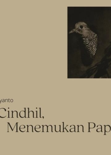 Mencari Cindhil, Menemukan Papa