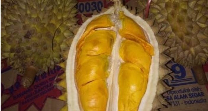 Ada Durian Emas di Desa Tajun | Yang Punya Pohonnya Bisa Hidup Sejahtera