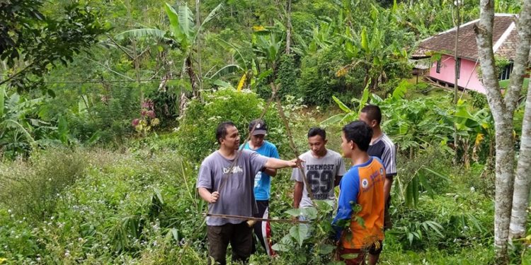 Program “Food Forest Design” Untuk Membangun Ketahanan Pangan Indonesia | Buka Tautan Untuk Mendaftar