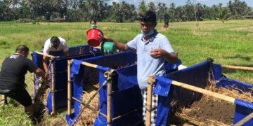 Setelah Panen, Jerami Jangan Dibakar, Jadikan Kompos