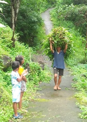 Memegati Cerita Kekalahan Tentang Desa