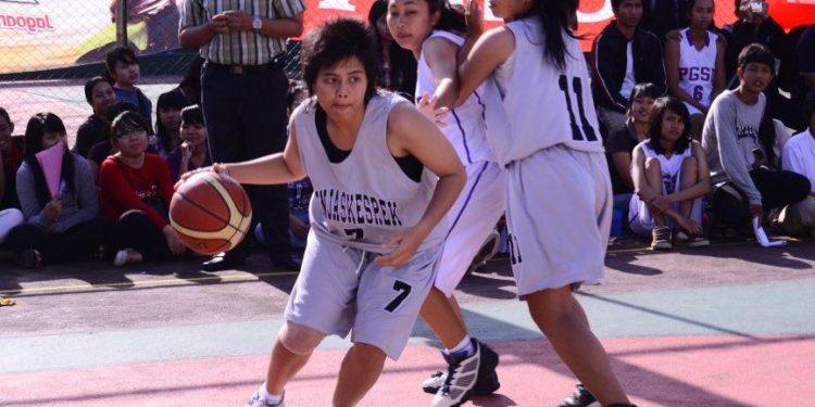 “Agility” dalam Pelayanan Publik,  “Myelin” dalam Organisasi