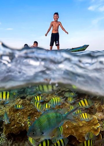 “Half Underwater Photography”, Perpaduan Harmonis Keindahan Alam Bawah Laut dan Daratan