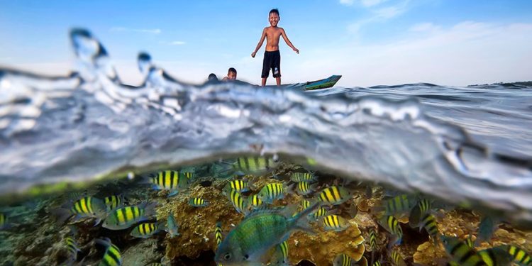 “Half Underwater Photography”, Perpaduan Harmonis Keindahan Alam Bawah Laut dan Daratan