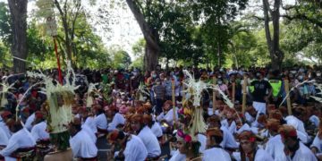 Spesies Bapak Pongah | Etnosentris di Parade PKB 2022
