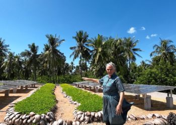 Amisewaka-DLCC Dibuka dengan Pasar Rakyat Desa Les | Ada Es Rujak yang Beda