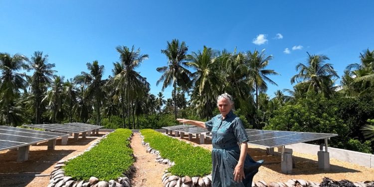 Amisewaka-DLCC Dibuka dengan Pasar Rakyat Desa Les | Ada Es Rujak yang Beda