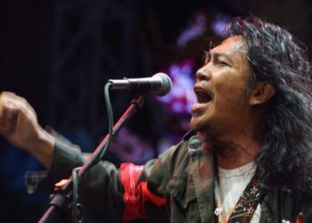 Navicula Menyanyi dan Bicara Orangutan