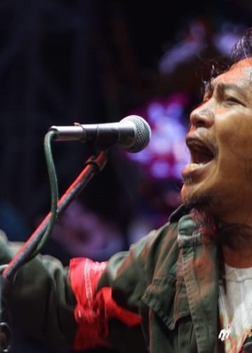 Navicula Menyanyi dan Bicara Orangutan