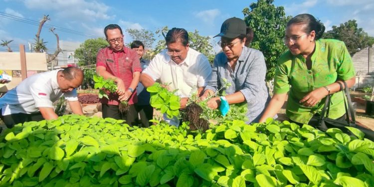 Di Kota Singaraja, Ada Ruang Terbuka Hijau, Ada Ruang Terbuka Sayur-Mayur