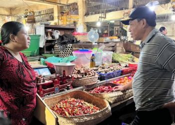 Cabai Disayang, Cabai Mahal, Cabai Dipantau Bupati