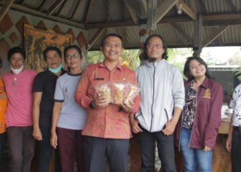 Kripik Gedebong dari Kukuh Kerambitan, Gurih Higienis — ISI Denpasar Percantik Kemasannya