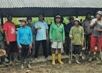 Menghias Nasib Petani Tanaman Hias di Desa Petiga, IPB Internasional Turun Kebun
