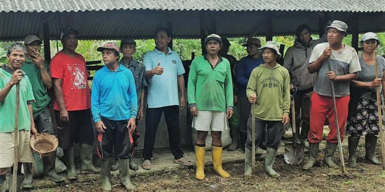 Menghias Nasib Petani Tanaman Hias di Desa Petiga, IPB Internasional Turun Kebun