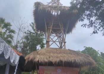 Menyebarkan Internet Lewat Tower Bambu di Desa Tembok | Diresmikan Pemkab Buleleng