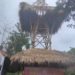 Menyebarkan Internet Lewat Tower Bambu di Desa Tembok | Diresmikan Pemkab Buleleng