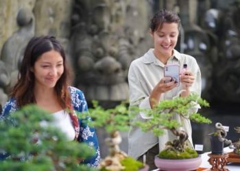 Orang-orang Cantik Memandang Bonsai Cantik di Tabanan | Sancang dari Gianyar Terbaik