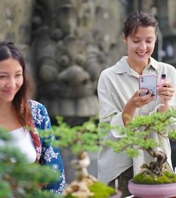 Orang-orang Cantik Memandang Bonsai Cantik di Tabanan | Sancang dari Gianyar Terbaik
