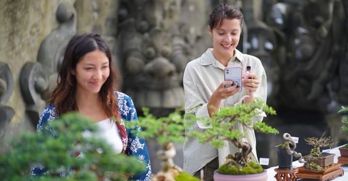 Orang-orang Cantik Memandang Bonsai Cantik di Tabanan | Sancang dari Gianyar Terbaik