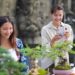 Orang-orang Cantik Memandang Bonsai Cantik di Tabanan | Sancang dari Gianyar Terbaik