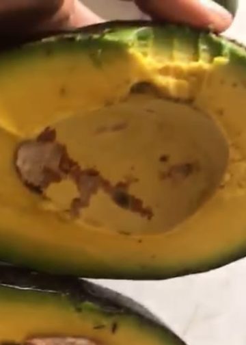 Van Jelbo, Alpukat dari Madenan, Jadi Pelengkap Sushi di Restoran Jepang