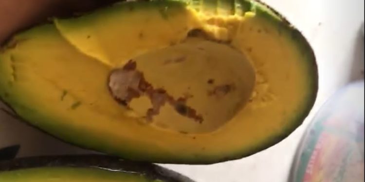 Van Jelbo, Alpukat dari Madenan, Jadi Pelengkap Sushi di Restoran Jepang