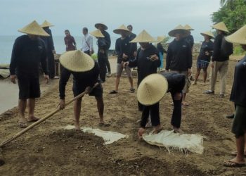 Bimtek Garam di Desa Les: Pembimbing Datang, Petani Belajar di Tempat Mereka Bekerja