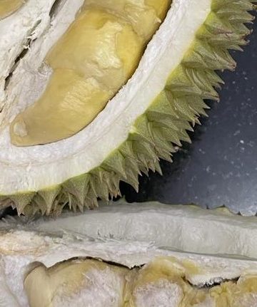 Kisah Ki Raja & Mantun, Durian Lokal dari Madenan dan Keluarga yang Merawatnya