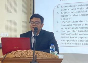 Wiryangga Selangga: Ada Ancaman Virus Mosaik Pada Budidaya Melon di Bali