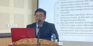 Wiryangga Selangga: Ada Ancaman Virus Mosaik Pada Budidaya Melon di Bali