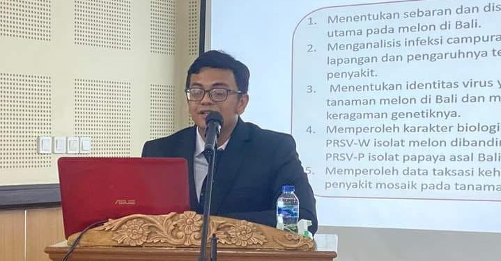 Wiryangga Selangga: Ada Ancaman Virus Mosaik Pada Budidaya Melon di Bali