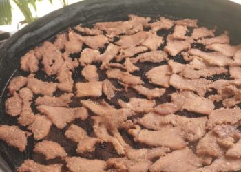 Dendeng Asap Babi Hitam dari Desa Panji, Nyaem, Nyaem…