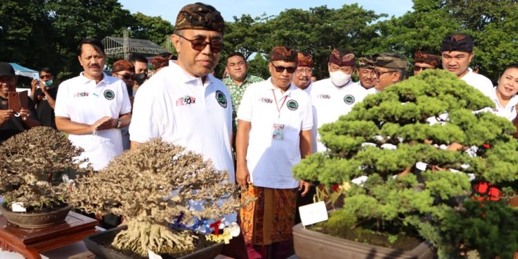Ada Bonsai dari Vietnam pada Kontes dan Pameran Bonsai Nasional di Denpasar