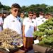 Ada Bonsai dari Vietnam pada Kontes dan Pameran Bonsai Nasional di Denpasar