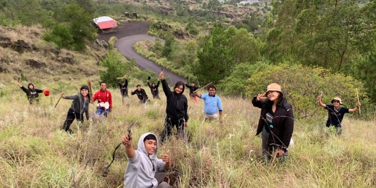 180 Orang Bergembira Tanam 600 Pohon Pinus di Gunung Batur