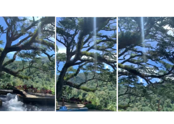 Menikmati Alam Gatep Lawas dan Wahana River Tubing Asyik di Buleleng