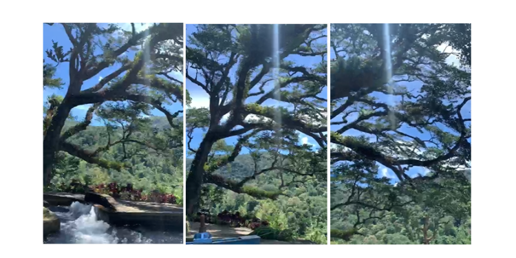 Menikmati Alam Gatep Lawas dan Wahana River Tubing Asyik di Buleleng