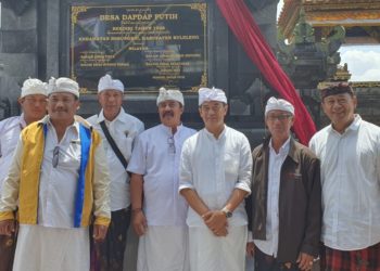 Nama Desa Dapdap Putih Diresmikan — Ini  Tentang Pohon Dapdap Berbunga Putih